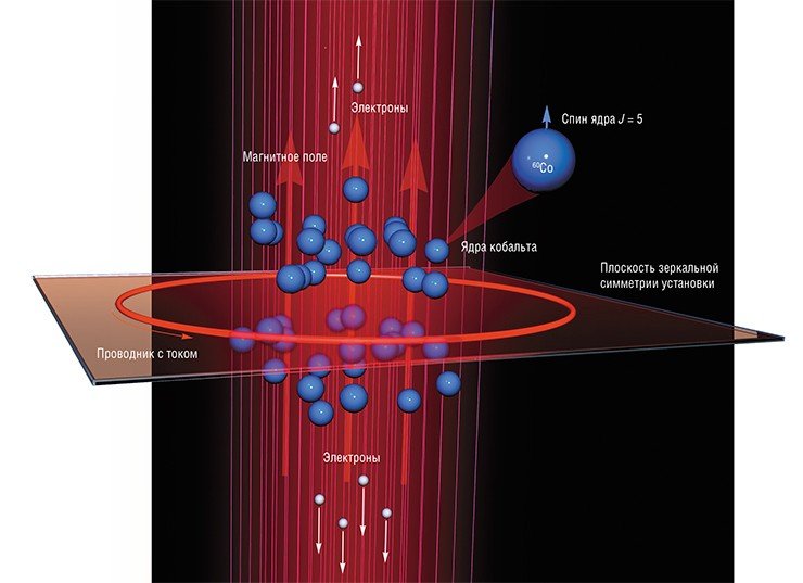 В опыте Ву (1957) при радиоактивном распаде кобальта электроны испускались преимущественно в направлении, противоположном вектору магнитного поля (и спинам ядер). Тем самым было показано, что в β-распадах четность не сохраняется