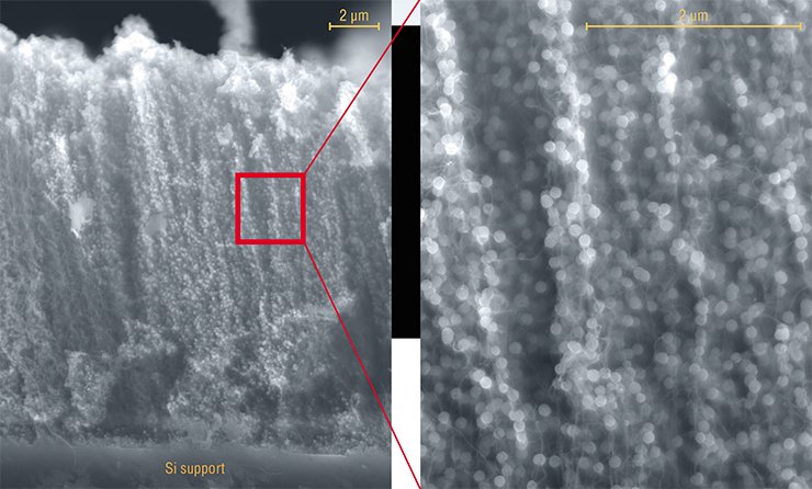 This is how an array of carbon nanotubes oriented perpendicular to a silicon support looks like after depositing CdS nanoparticles on them for 8 min at 60 °C. The nanoparticles have almost the same sizes and are threaded on the tubes like beads. Scanning electron microcopy