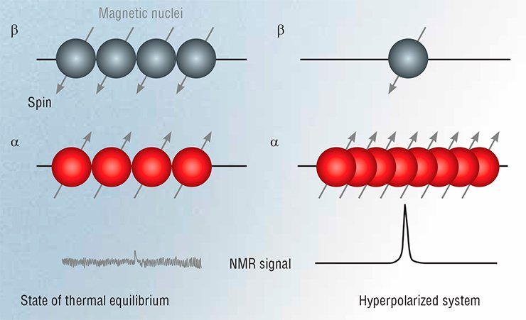 Under equilibrium conditions there is only a little difference between the number of spins of magnetic nuclei in the α and β states. A strongly polarized system exhibits a substantial difference in state populations: in this example almost all the spins are in one state. This will lead to a much greater signal-to-noise ratio in the NMR spectrum of this sample, which is evidence of increased sensitivity