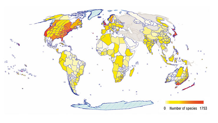 The map shows the distribution of species of invasive naturalized vascular plants in 843 regions (including 362 insular regions) covered by the database (GloNAF, Global Naturalized Alien Flora). Regions with absent data are shown in grey. Based on: (van Kleunen et al., 2015)