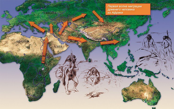 Около двух миллионов лет назад человек прямоходящий (Homo erectus) вышел за пределы Африки и начал расселяться в Евразии. Это была первая волна древнейших миграций человека