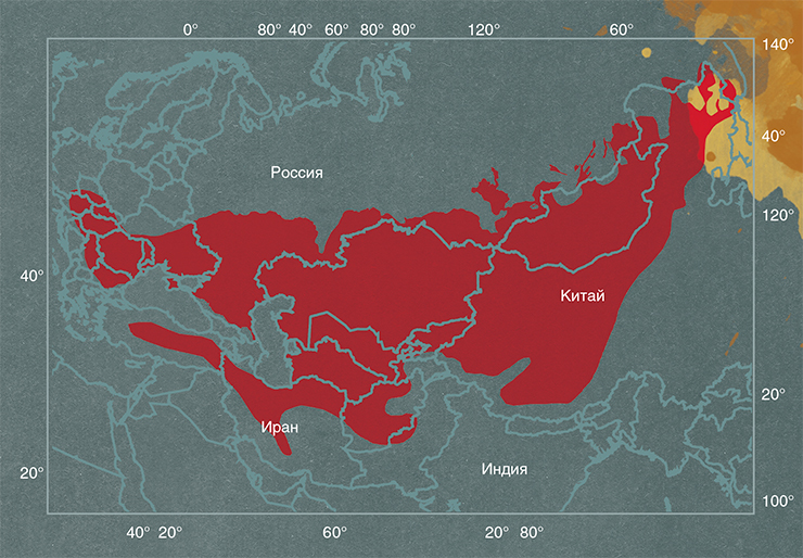 До 1970-х гг. ареал балобана занимал обширную территорию от Восточной Европы до Дальнего Востока и от степного пояса Евразии до Гималаев и пустынь Ирана