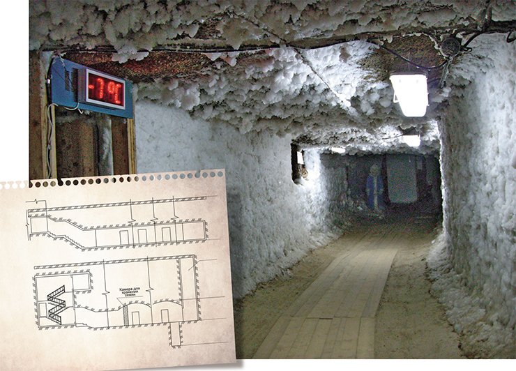 This drift leads to an underground cryorepository, the Laboratory of Permafrost with the Mel’nikov Institute of Permafrost (Siberian Branch, Russian Academy of Sciences, Yakutsk), where plant seeds have been stored for over 30 years, at a depth of 12 m. In collaboration with the Chersky Institute of Northern Mining, the researchers have elaborated efficient technologies for controlling the temperature and humidity conditions in the large-space chambers of the underground repository, rationally utilizing the natural cold. As a result, this method for long-term seed storage is highly cost-effective and independent of external energy sources. Photo by the courtesy of A. Shein