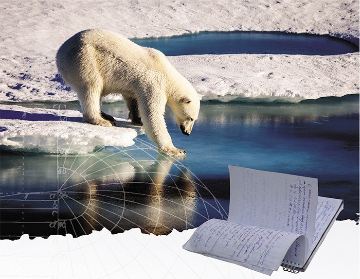 Белый медведь проверяет лапой прочность морского льда. Фото Марио Хопмана. © Creative Commons