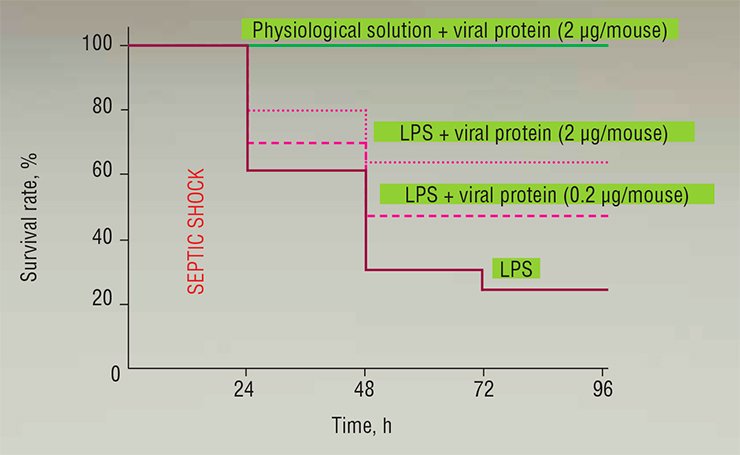 The efficiency of variola virus TNF-binding protein as a therapeutic for septic shock was tested in a mouse model. Bacterial lipopolysaccharide (LPS), a bacterial wall component inducing a strong immune response with production of proinflammatory cytokines and development of dangerous septic shock, was injected to mice. The applied viral protein considerably increased the survival rate of ill animals