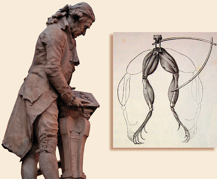 Left: Monument to Luigi Galvani, one of the founders of the theory of electricity and electrophysiology, in Bologna (Italy). © CC BY-SA 2.0/ Michele Ursino. Right: An illustration of Galvani’s experiment on the contraction of leg muscles in a dissected frog. Adapted from: (Guillemin, 1882). Public Domain