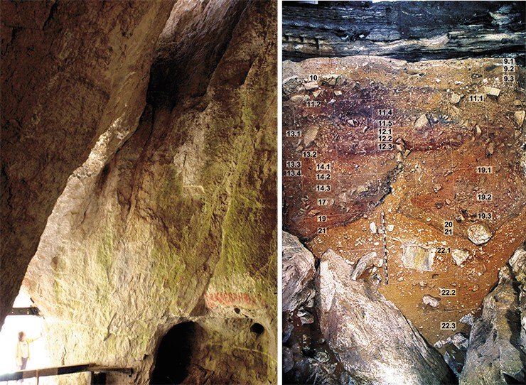 Слева: в высоком (около 10 м) сводчатом потолке центрального зала пещеры есть отверстие, через которое попадает дневной свет. Некогда оно могло служить хорошим дымоходом. Справа: в отложениях Денисовой пещеры выделено 22 литологических слоя, из которых 8 относятся к эпохе голоцена (от 11 тыс. лет назад до современности), а 14 – к эпохе плейстоцена (1,8 млн — 11 тыс. лет назад). Наиболее древние находки из 22-го слоя возрастом 280 тыс. лет представляют раннюю стадию среднего палеолита. В 11-м слое (30—50 тыс. лет назад), где появляются типичные верхнепалеолитические предметы, были обнаружены костные останки Homo sapiens altaiensis