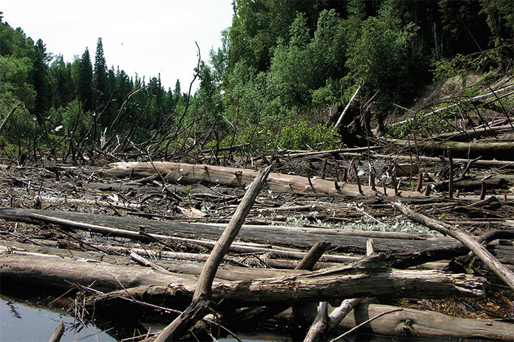 Heaps of trees on the river Nyogus-Yakh, which will need to be taken apart with the help of a chainsaw to pull the skiffs through. Photo by the author