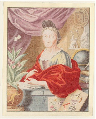 Мария Сибилла Мериан (1647—1717). Раскрашенная гравюра Я. Хоубракена (по портрету Г. Гзелля) из книги M. S. Merian «Der rupsen begin...» (Amsterdam, 1717). Artis Bibliotheek Университета г. Амстердама