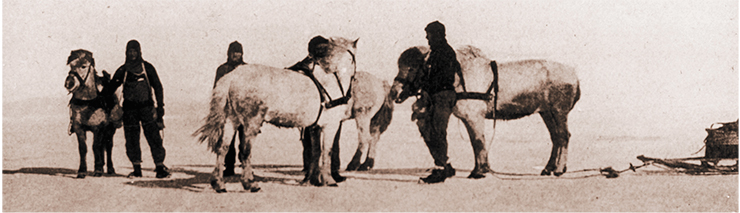 Участники британской антарктической экспедиции на «Нимроде». 1908 г. Фото Э. Шеклтона. Архив Института полярных и морских исследований им. Альфреда Вегенера (Германия)