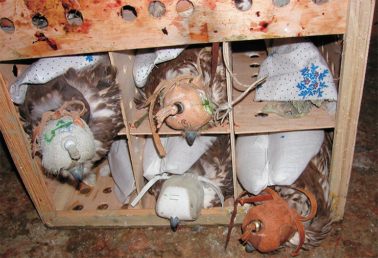 Эти балобаны, пойманные браконьерами, были изъяты при транспортировке в г. Канте (Чуйская обл., Киргизия). 2004 г. Фото А. Ковшаря