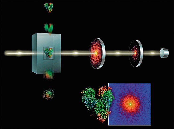 При помощи сверхкоротких импульсов жесткого рентгеновского излучения большой мощности лазер на свободных электронах может создавать голографическое трехмерное изображение отдельных молекул. SLAC National Accelerator Laboratory