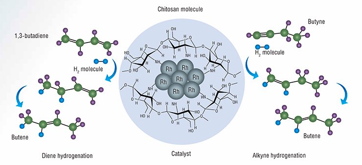 A catalyst consisting of rhodium atoms applied onto the chitosan polysaccharide, which is characterized by high selectivity in the hydrogenation of triple and conjugated double carbon–carbon bonds (bottom panel), can be used to obtain hyperpolarized gases for MRI 
