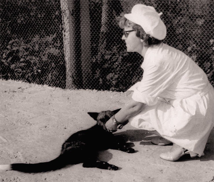 Л. Н. Трут с ручной лисицей. 1974 г. Фото из архива Л. Н. Трут