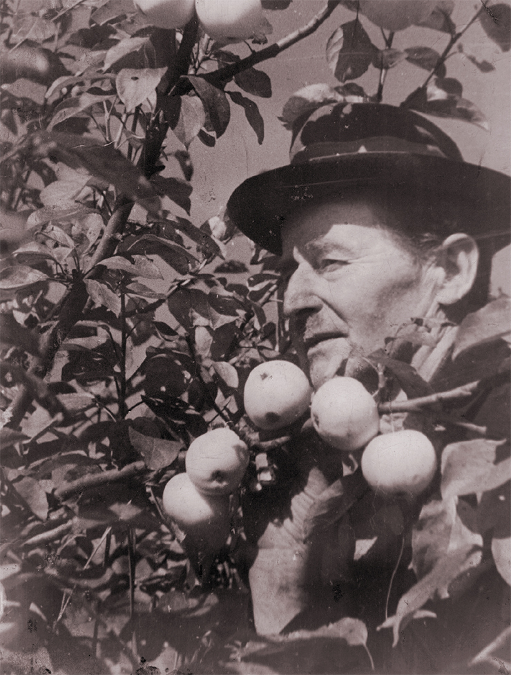 А. К. Томсон в своем саду. 1930-е гг. Иркутский областной краеведческий музей имени Н.Н. Муравьева-Амурского