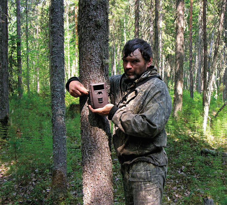 Trail cameras are helpful in the work of nature reserve workers. These autonomous devices  capture images and videos when their infrared sensors register warm-blooded moving objects. The captured imagery is recorded on the device memory card. Trail cameras help us find out precisely which animals, and how many, passed through a particular spot. Photo by the author