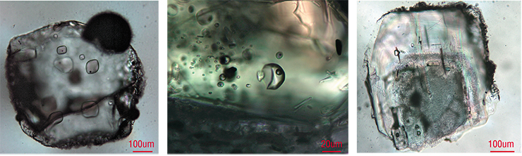 Кристаллы минералов из образцов пемзы, собранной на мысе Конакова, в которых хорошо видны включения расплава, несущие бесценную информацию о подготовке к вулканической катастрофе. Слева направо: кварц, пироксен, плагиоклаз