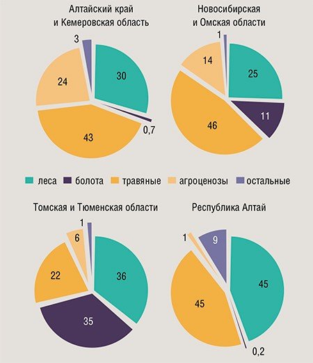 Данные (%) о распределении растительной продукции по различным типам биомов в разных регионах Сибири и Алтая. Всего же продукция биомов Западной Сибири составляет от 3 до 12 т/га в год 