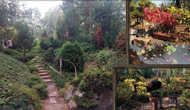 Семь самых известных ботанических садов в России