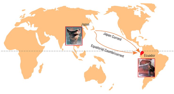 According to Emilio Estrada’s hypothesis, the bearers of Jomon culture crossed the ocean from the Japanese archipelago to the Ecuadorian coast (Estrada, 1961)