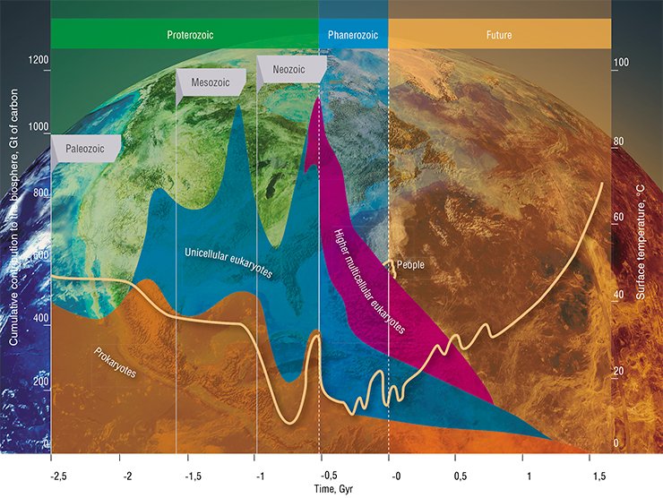 Based on our knowledge about the evolution of the Earth’s biosphere over the past 2.5 billion years, the heating of the planet should reverse the pattern of the evolutionary processes. When the temperature markedly exceeds 30 °С, there will be no higher multicellular organisms, and in 400–500 million years, the total mass of the biosphere (expressed in gigatons of carbon) will drop roughly by half. In 750 million years, there will be no eukaryotic organisms, and in another 1.5 billion years, there will be none of the currently existing prokaryotes (bacteria and archaea). Adapted from (Bounama et al., 2004), with additions by the author (Dobretsov, 2009)
