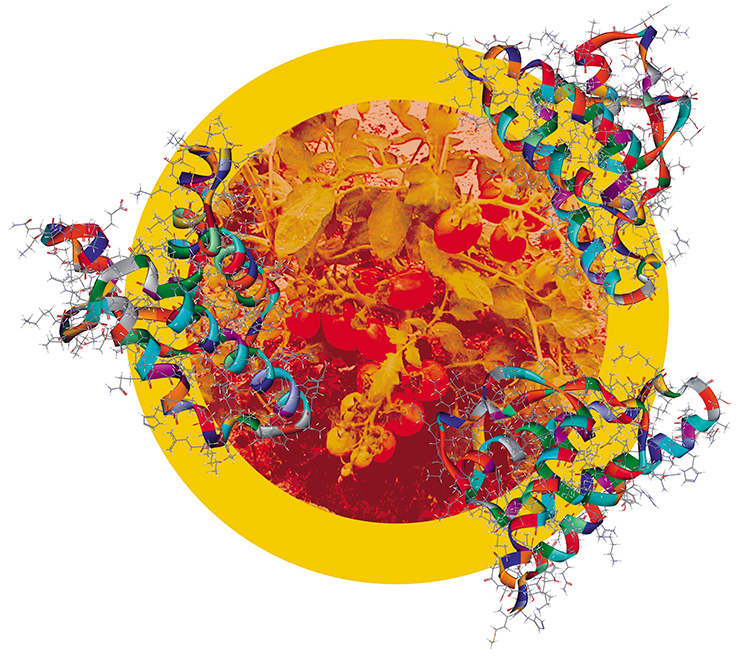 Эта футуристическая конструкция – искусственный полиэпитопный белок-иммуноген против ВИЧ-1