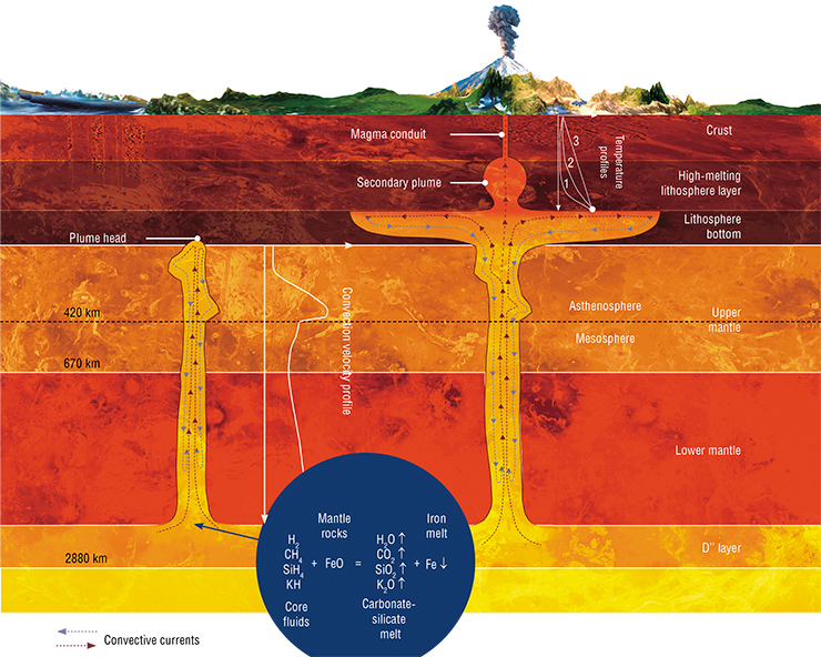 The nascence of a mantle plume and its growth towards the globe surface is determined by thermal convection to a lesser degree than by thermochemical reactions in the fluid mixture. The products of these reactions are more fusible than mantle rocks. When the head of the plume reaches the high-melting lithosphere layer, the plume spreads beneath its bottom. A secondary plume arises above the plume conduit. The increasing thermal strain produces fissures in the crust. Through these fissures, a large eruption of magma to the surface occurs 7–12 Ma later. The calculated temperature profiles illustrate the time course of crust heating (Dobretsov et al., 2008)