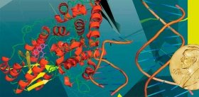 Нобелевская премия по химии – 2015: за изучение механизмов репарации ДНК