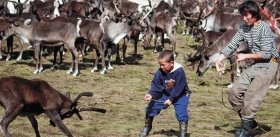 Education of Little Nomads: Maut and Khanka