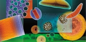 Кремниевые нанотехнологии «в пробирке»