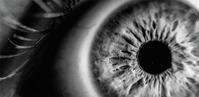 Жизнь без катаракты # Ученые Международного томографического центра СО РАН проверяют оптимистичную гипотезу профилактики и лечения катаракты