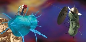 Bacteriophages – the enemies of our enemies