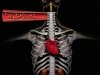 «Почечная» денервация – инновация в лечении сердечных аритмий