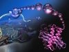 Тразодон восстанавливает синтез белка и останавливает развитие нейродегенерации
