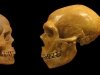Очень долгое детство неандертальцев	