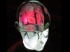 Полчаса направленной электростимуляции мозга, или Дело в шляпе