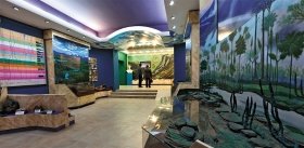 The Baikal Museum: A Participation Effect 