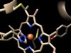 Нобелевская премия по химии 2018 – за использование эволюционного подхода в создании белков с заданными свойствами