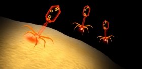 Модифицированный бактериофаг-«шпион» нападает на бактерии по прямому приказу человека