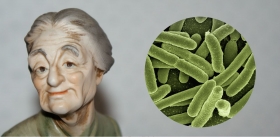 Посчитай своих кишечных бактерий, и ты узнаешь свой истинный «биологический» возраст