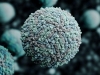 Вирусная терапия рака: вирус Зика против опухоли мозга