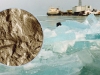 The Baikal Climate RECORD