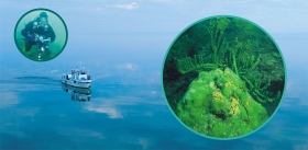 Lake Baikal as a Natural Laboratory