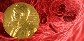 Нобелевское открытие поможет решить проблему тканевой гипоксии при тяжелых патологиях