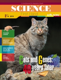 Cats and genes: 40 years later