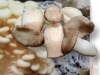 Природная фармакология: грибы против вирусов