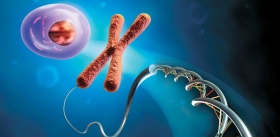 Маркеры биологического возраста обнаружены в «мусорной» ДНК