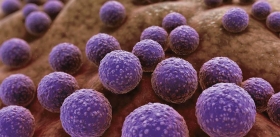 Химический «предсмертный крик» погибающих бактерий помогает остальным спастись от антибиотика