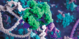 Нобелевская неделя: «отредактировать» ДНК – легко!