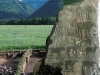 «Братство кольца», или Египетские зебу на алтайских петроглифах